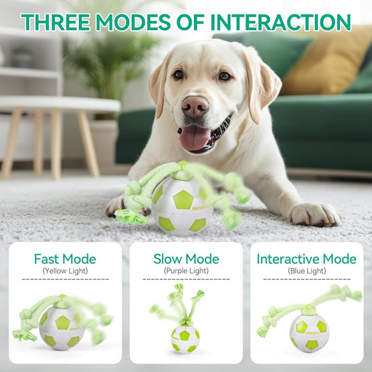 Interaktywna piłka dla psa ALL FOR PAWS, ruchoma piłka dla psa z diodami LED, interaktywna zabawka dla psa na nudę, aktywowana ruchem zabawka dla szczeniąt, małych, średnich i dużych psów, zabawki dla psów ładowane przez USB
