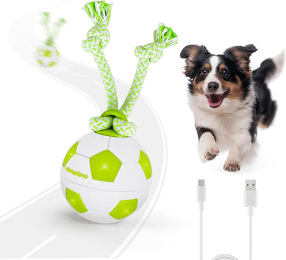 Interaktywna piłka dla psa ALL FOR PAWS, ruchoma piłka dla psa z diodami LED, interaktywna zabawka dla psa na nudę, aktywowana ruchem zabawka dla szczeniąt, małych, średnich i dużych psów, zabawki dla psów ładowane przez USB