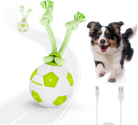 Interaktywna piłka dla psa ALL FOR PAWS, ruchoma piłka dla psa z diodami LED, interaktywna zabawka dla psa na nudę, aktywowana ruchem zabawka dla szczeniąt, małych, średnich i dużych psów, zabawki dla psów ładowane przez USB